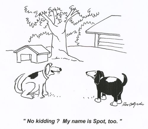 'No kidding? My name is Spot, too.'