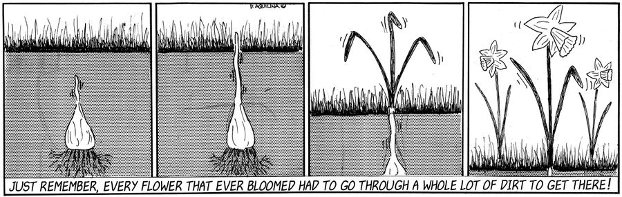 Every flower that ever bloomed had to go through a whole lot of dirt to get there!
