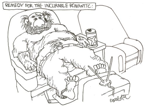 Remedy for the incurable romantic...
