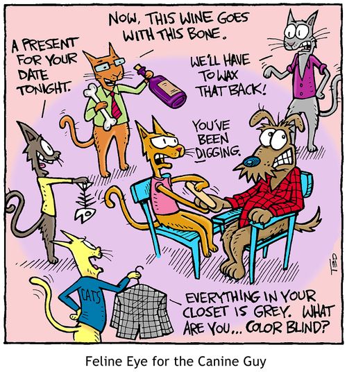 Feline Eye for the Canine Guy (dogs and cats)