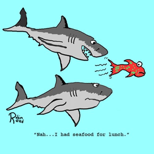 'Nah...I had seafood for lunch.'