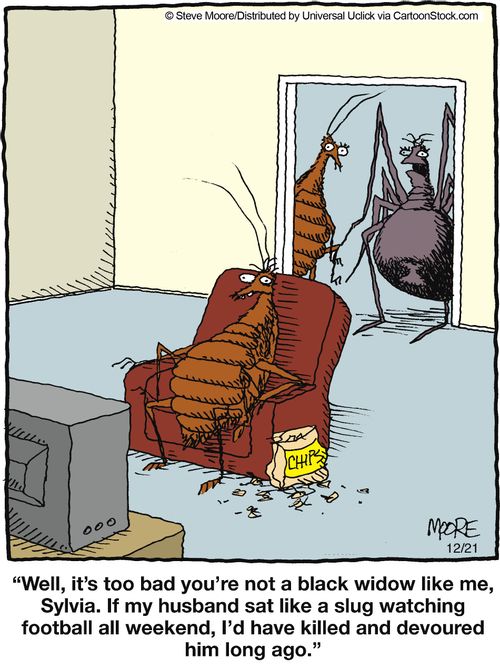'Well it's too bad you're not a black widow like me, Slyvia...'