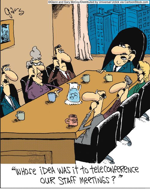 'Whose idea was it to teleconference our staff meetings?'