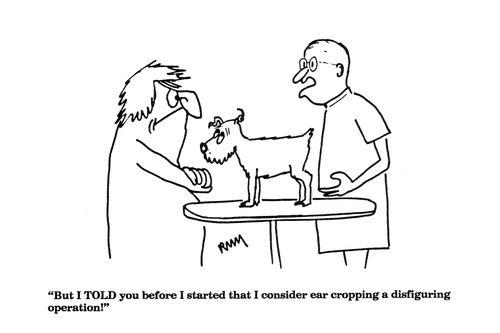 'But I TOLD you before I started that I consider ear cropping a disfiguring operation...'