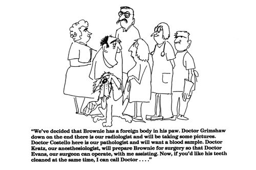 'We've decided that Brownie has a foreign body in his paw....'
