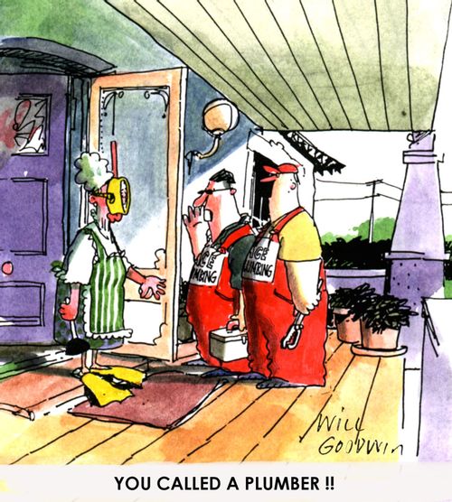 'You called a plumber!'
