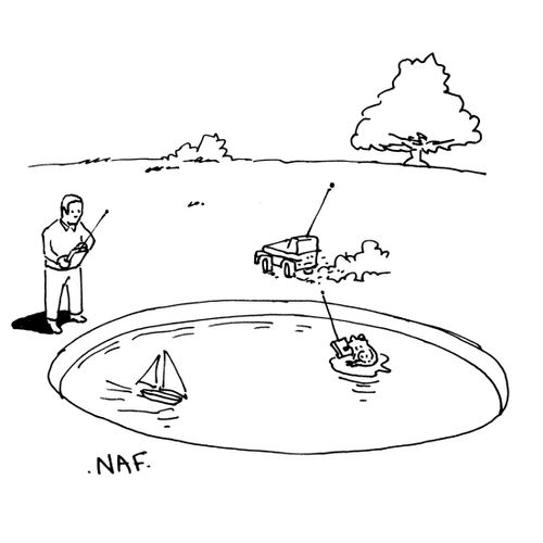 Boy playing with radio-controlled sailing boat in boating pond. There is a frog on a lilly pad playing with a remote-control car. 