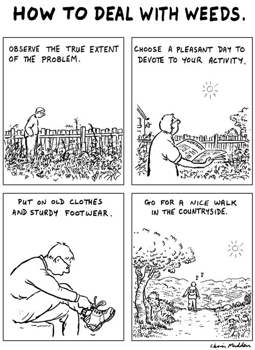 How to deal with weeds