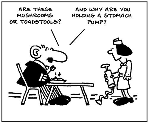 'Are these mushrooms or toadstools? And why are you holding a stomach pump?.'