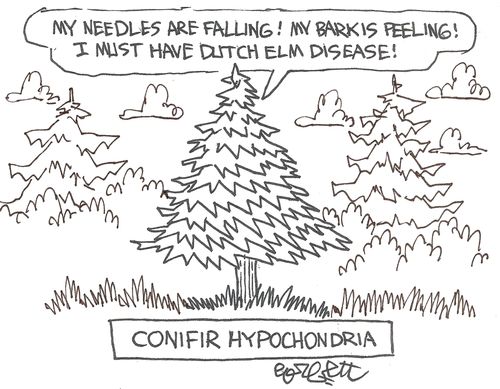 'My needles are falling!  My bark is peeling!  I must have Dutch Elm Disease!'