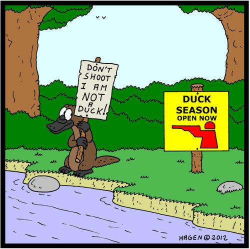 'Don't Shoot. I am NOT a DUCK.'