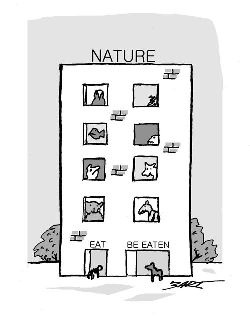Nature - Eat - Be Eaten