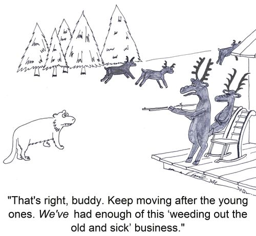 'That's right, buddy. Keep moving after the young ones. We've had enough of this ‘weeding out the old and sick' business.'