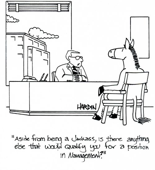 'Aside from being a jackass, is there anything else that would qualify you for a position in management?'