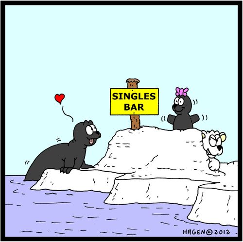 Polar bear ambushing a seal by creating a seal's single bar.