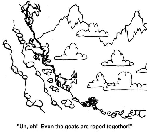 'Uh, oh! Even the goats are roped together!'