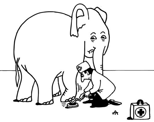 Vet uses a hydraulic jack to treat an elephant.
