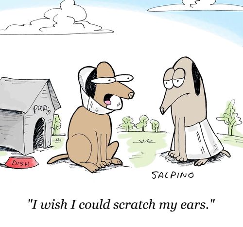 'I wish I could scratch my ears.'