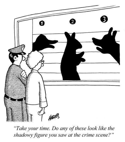 'Take your time. Do any of these look like the shadowy figure you saw at the crime scene?'