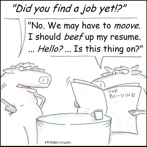 'Did you find a job yet?'