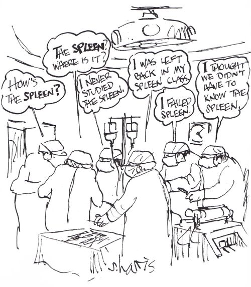 'I thought we didn't have to know the spleen.'