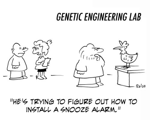 'He's trying to figure out how to install a snooze alarm.'