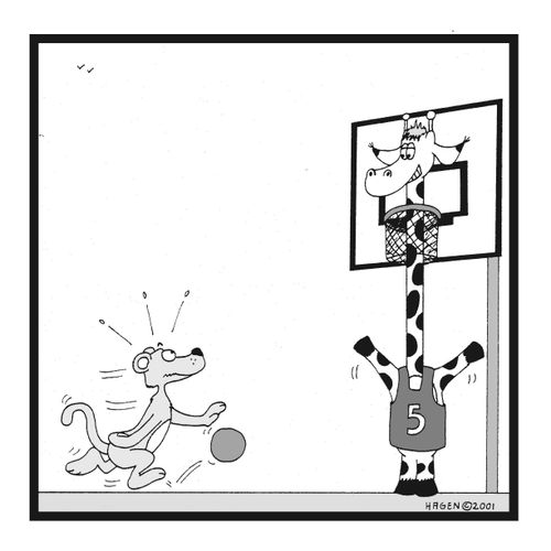 Giraffe defending a basketball goal.