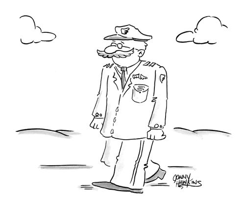 Pilot with moustache like wings
