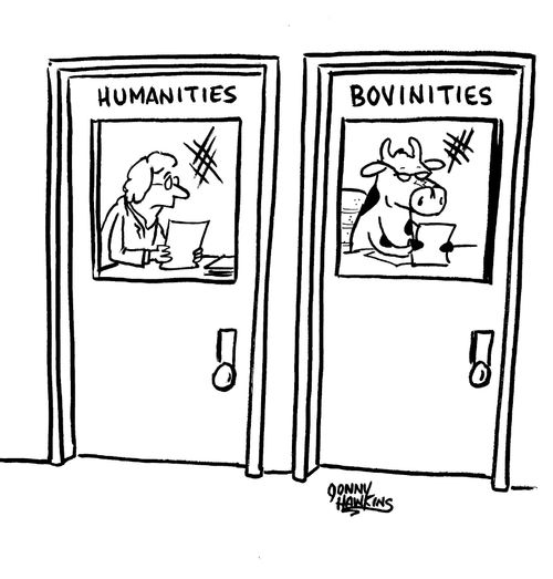 Woman in 'Humanities' department, Cow in 'Bovinities' department.
