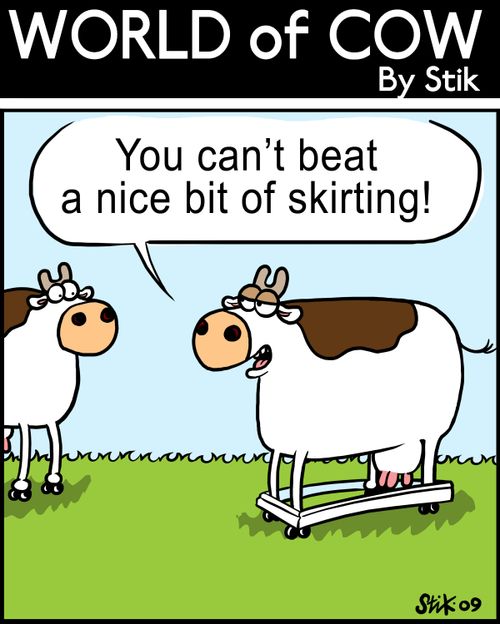 You can't beat a nice bit of skirting!