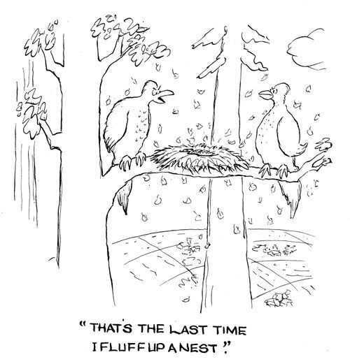 'That's the last time I fluff up a nest.'