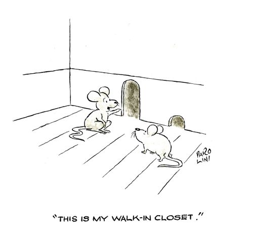 'This is my walk-in closet'