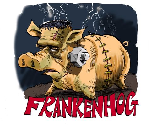 Frankenhog.