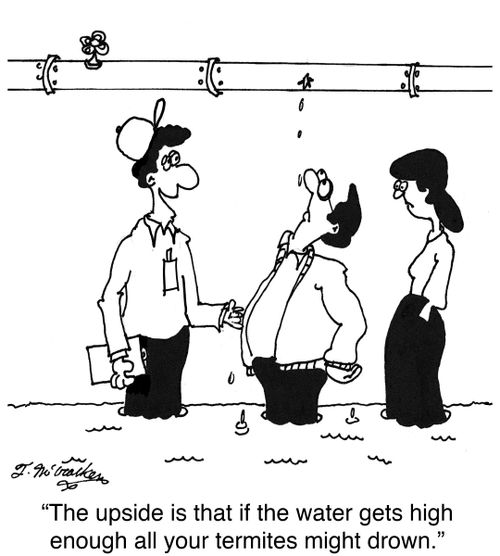 'The upside is that if the water gets high enough all your termites might drown.'