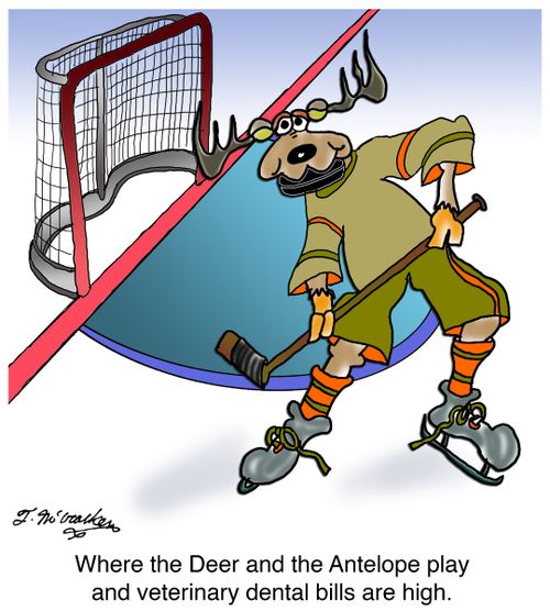 'Where the Deer and the Antelope play and veterinary dental bills are high.'