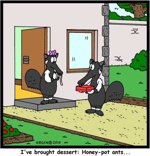 'I've brought dessert: Honey-pot ants...'