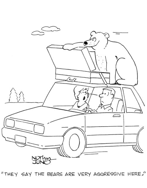 'They say the bears are very aggressive here.'