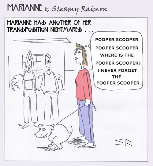 Pooper Scooper