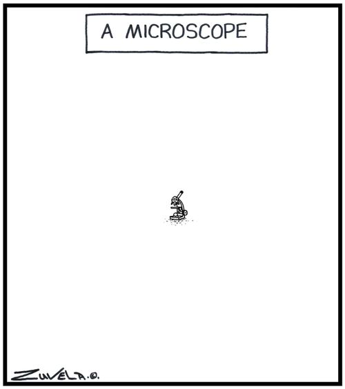 A Microscope - A very tiny Microscope.
