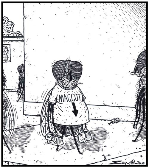 An expecting Fly wearing a 'Baby here, arrow t-shirt' saying MAGGOT.