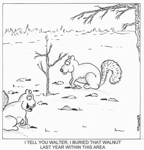 I tell you Walter, I buried that walnut last year within this area.