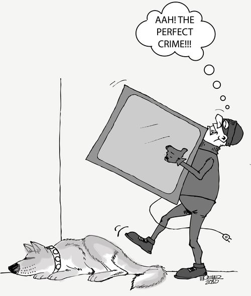 The Perfect Crime...