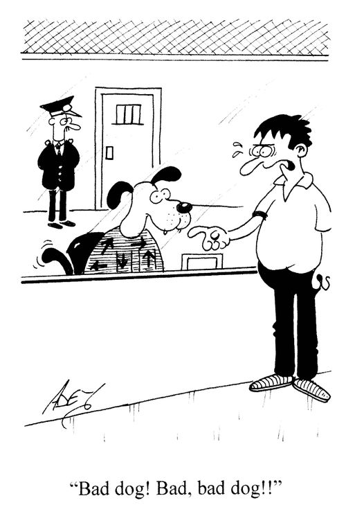 'Bad dog! Bad, bad dog!!'