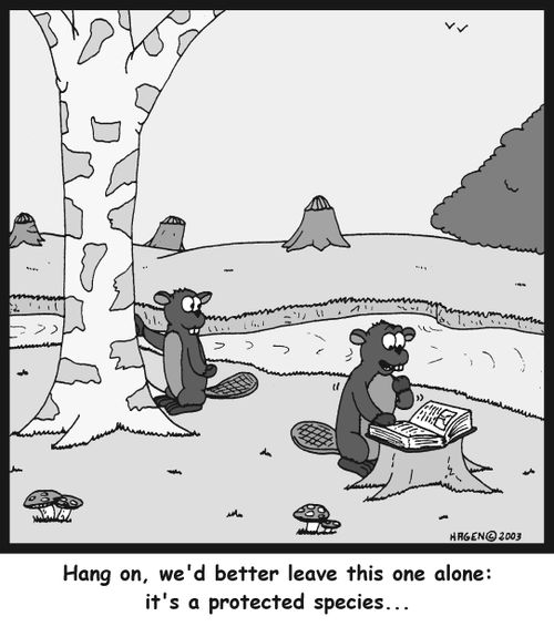 'Hang on, we'd better leave this one alone: It's a protected species...'