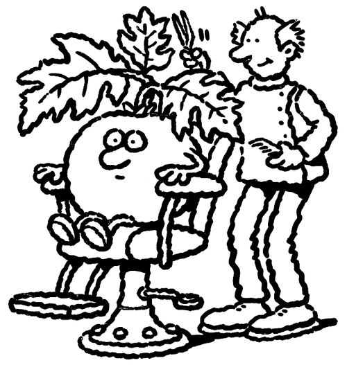 Hairdresser pruning a vegetable.