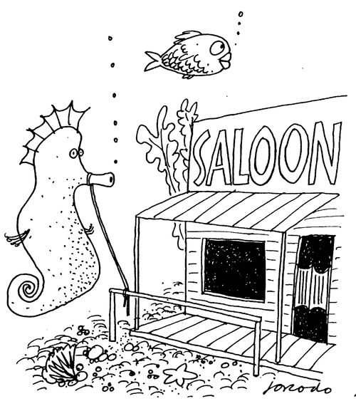 Sea Horse outside saloon