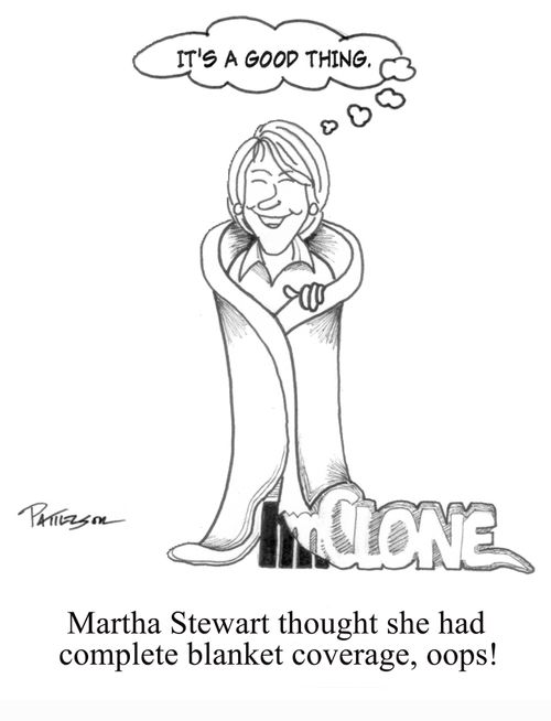'Martha Stewart thought she had complete blanket coverage, oops!' [Obscured speech: 'It's a good thing.']