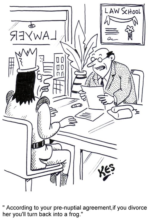 "According to your pre-nuptial agreement,if you divorce her you'll turn back into a frog."