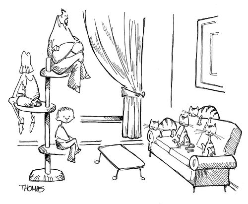 People and cats: role reversal.