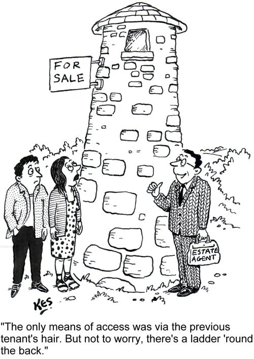 'The only means of access was via the previous tenant's hair. But not to worry, there's a ladder 'round the back.'